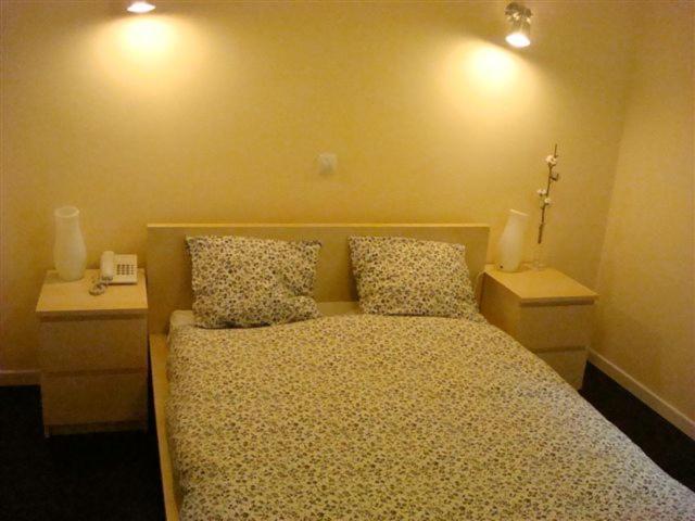 Hostal Goyal Pizarro Madrid Eksteriør bilde